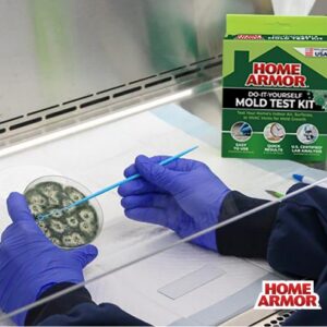 Mold Test Kit Lab Analysis